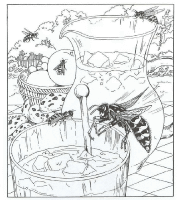 A coloring page of nature in the backyard